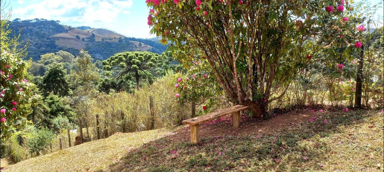 Campos do Jordão Casa Trilha 빌라 외부 사진