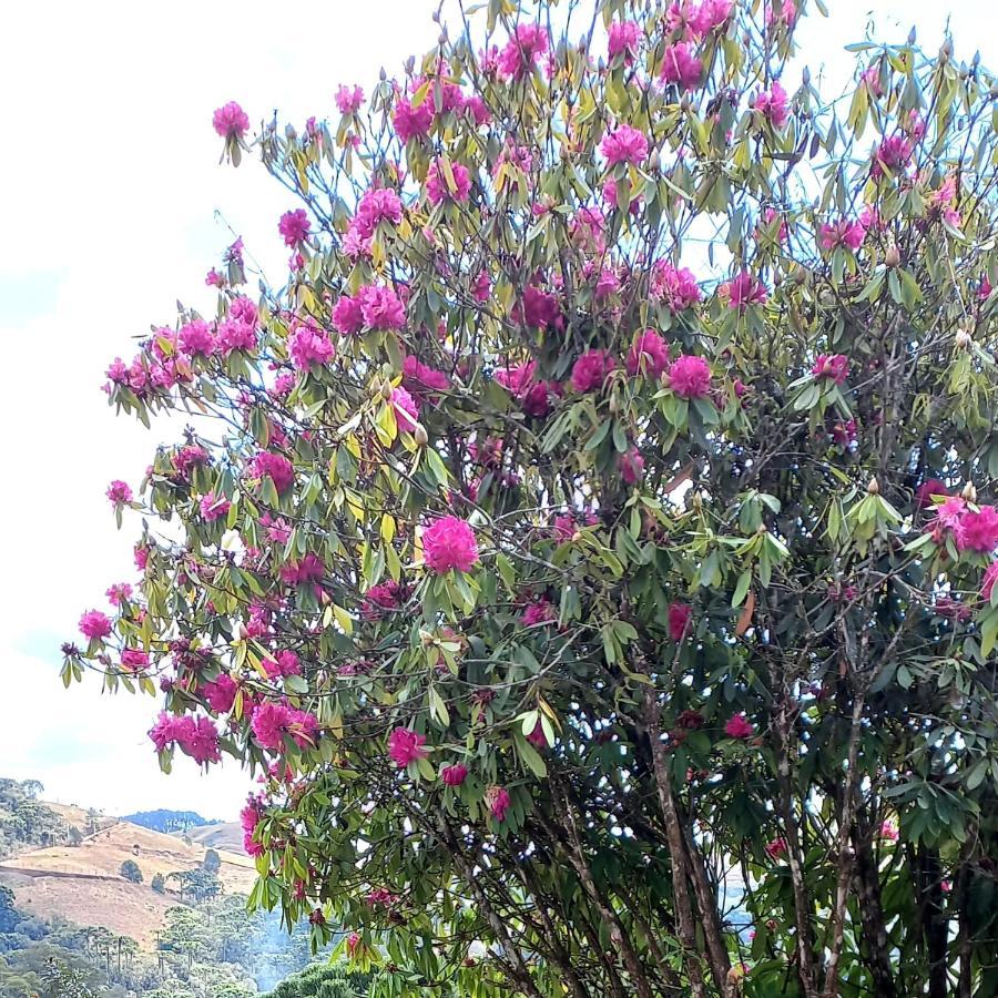 Campos do Jordão Casa Trilha 빌라 외부 사진
